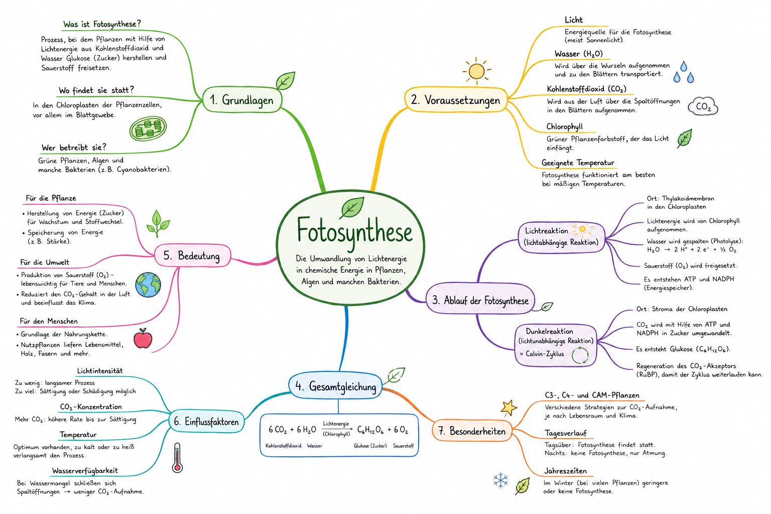 Fotosynthese Mindmap